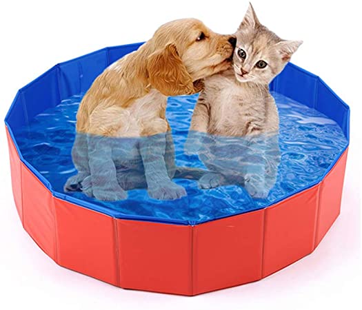 piscinas-para-perros-catalogo-para-montar-tu-piscina-on-line