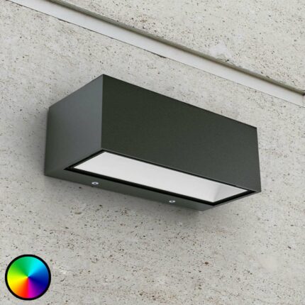 WiZ aplique LED para exterior Gemini, 22 cm