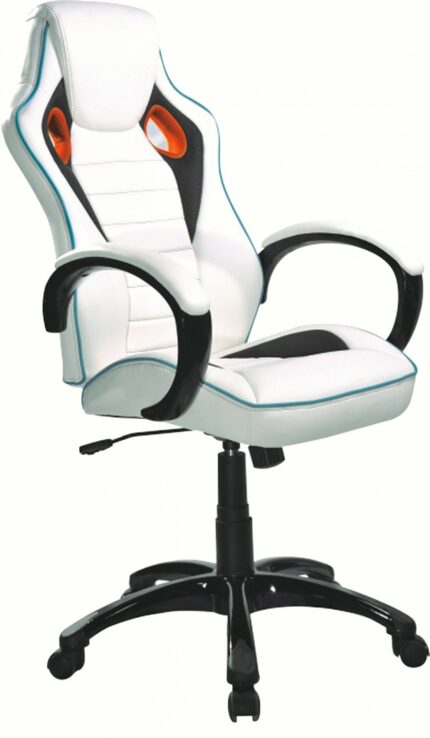 Silla de escritorio profesional WHITY 2