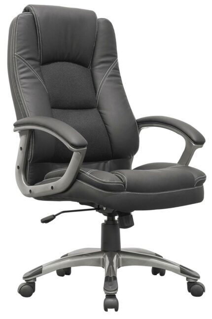 Silla de escritorio profesional STEPH