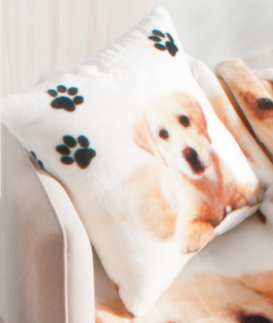 739b66cd81e78f340182365de833594d33d44dfb_381344_S1 Cojín 50x50 cm FRIENDS - Imagen 1