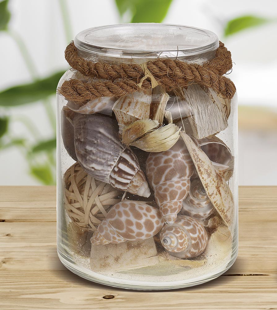 8b7e4dcaf3e7d7bc441e401313fac2c579c9b602_390251 Bote decorativo CRISTAL - Imagen 1