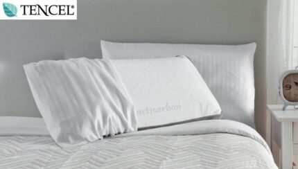 Pack 2 almohadas VISCO CARBONO