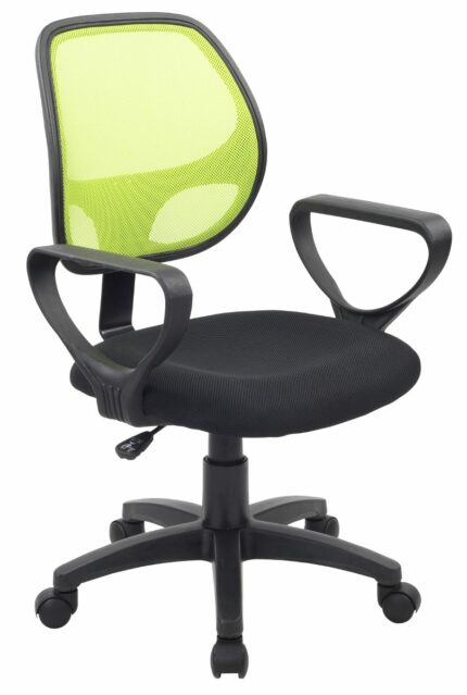 Silla de escritorio profesional WILL