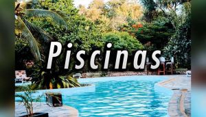 Piscinas De Madera: Opiniones para montar tu piscina On line
